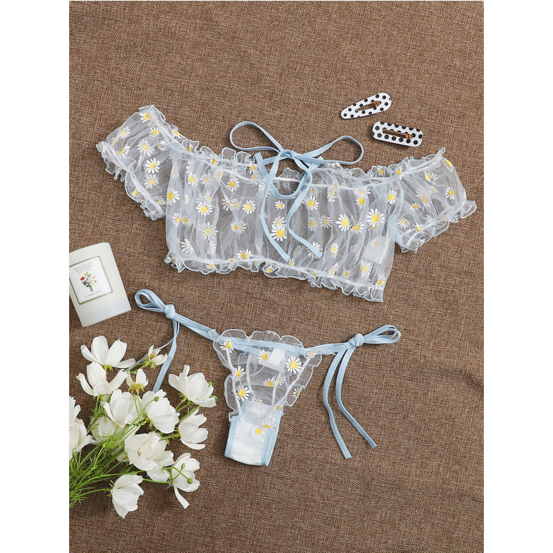 Sexy Lace Transparent Lingerie - Sheer Bra Lace 리뷰 및 가격