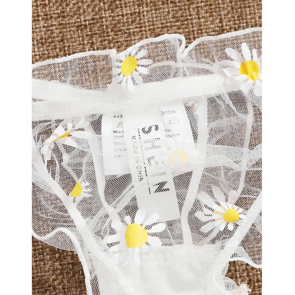 Sexy Lace Transparent Lingerie - Sheer Bra Lace 리뷰 및 가격