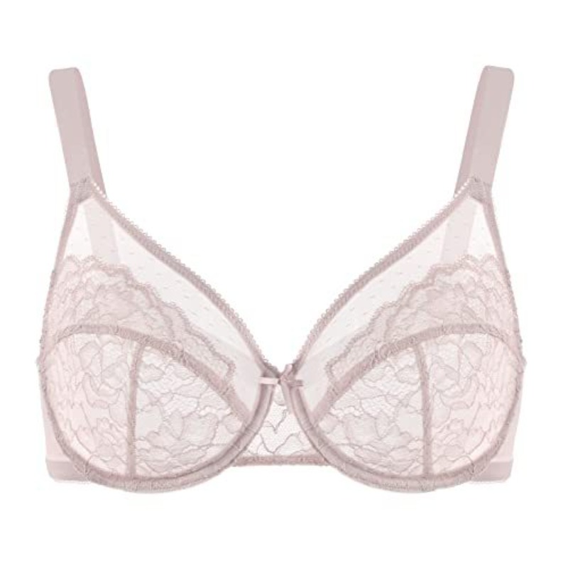 Plus Size Lace Bra French Push - Sheer Bra Lace 리뷰 및 가격