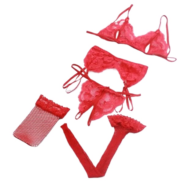 Lace Women Lingerie Set 4 Pcs  - Sheer Bra Lace 리뷰 및 가격