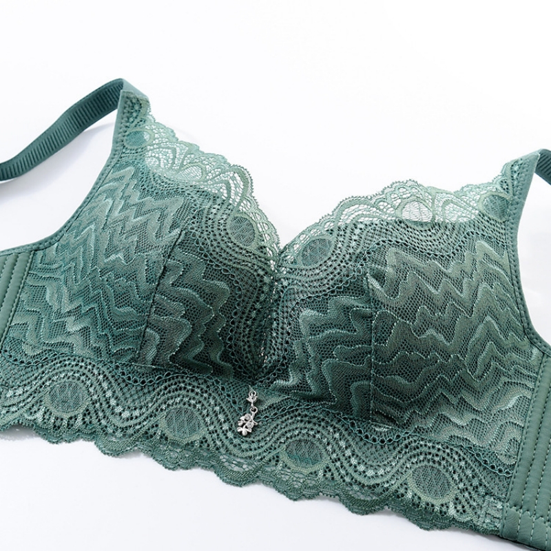 Women Lace Underwears Bra With - Nursing Bra Clip 리뷰 및 가격